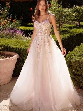 Ivory Blush Tulle Gown with Floral Sequin Bodice